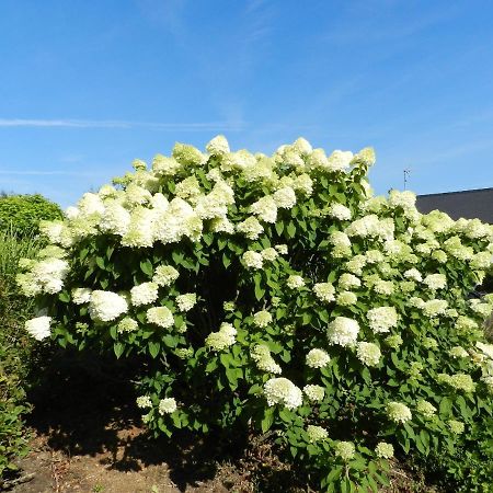 Gite La Grenouillere Esqueheries المظهر الخارجي الصورة