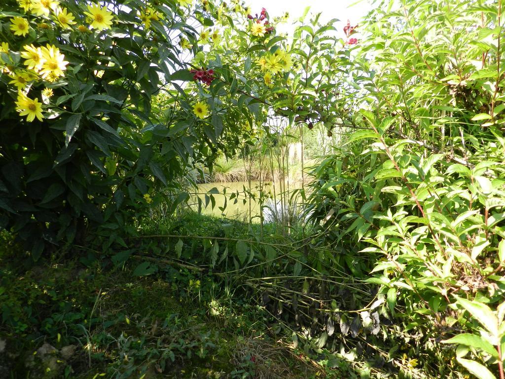 Gite La Grenouillere Esqueheries المظهر الخارجي الصورة