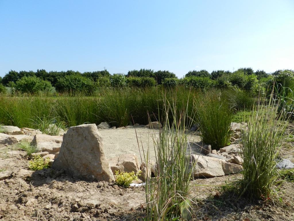 Gite La Grenouillere Esqueheries المظهر الخارجي الصورة